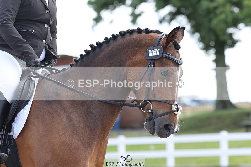 240706A-093921-00033 - Cls 1A Snr Intro C