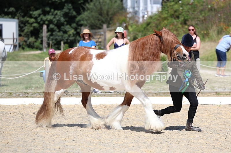 3E7A9876 - In Hand Championship