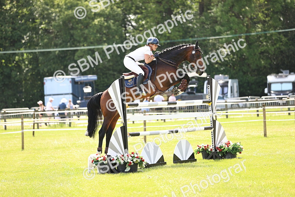 SBM_03949 - Class 201 - British Horse Feedds Speedi Beet HOYS Grade C