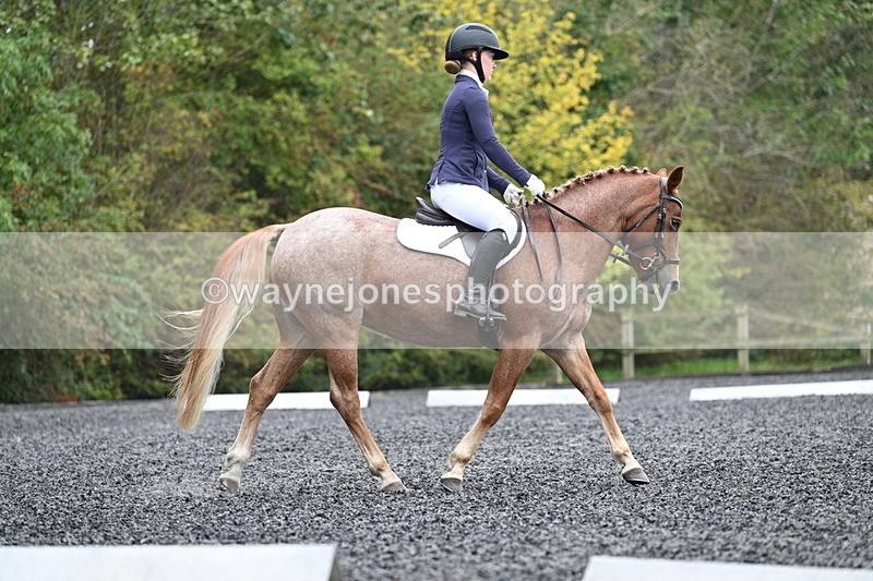 WJ7_3686 - Time 11:04 to 11:38