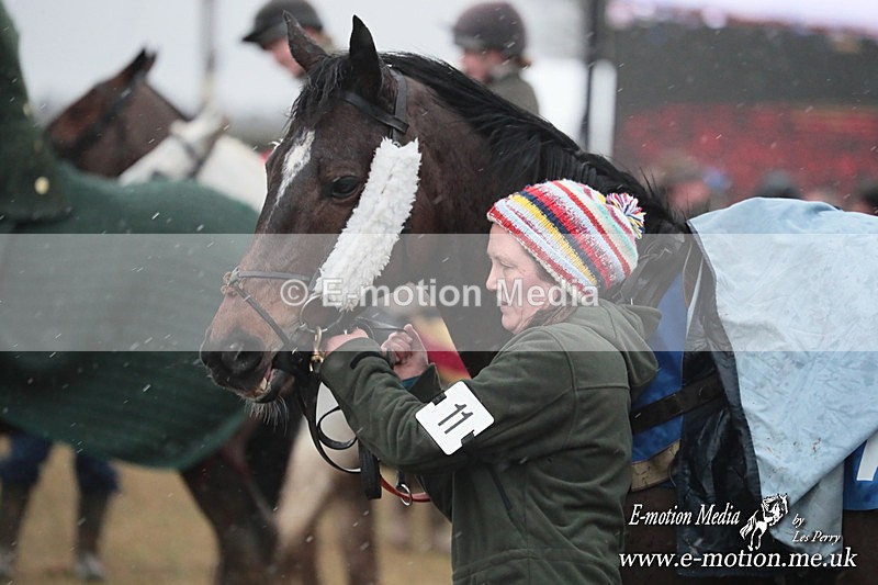 PtP 260125 997 - Cocklebarrow Point-to-Point racing with the Heythrop Hunt 26/01/25