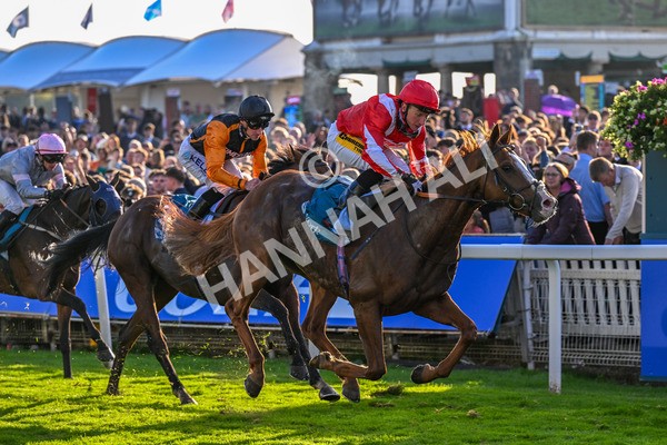 111025-Race 6-Berkshire Sundance-0653 - Race 6 Coral Racing Club Stayers Handicap at York
