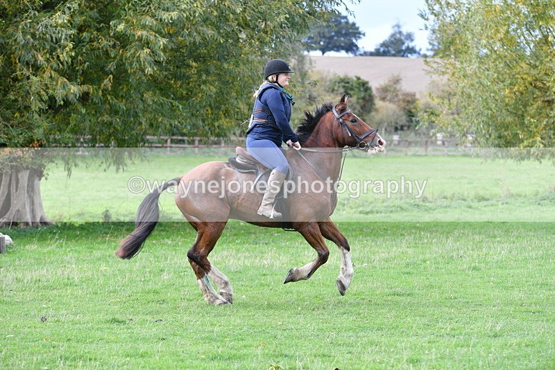 WJ5_0627 - Time 13:59 to 14:28