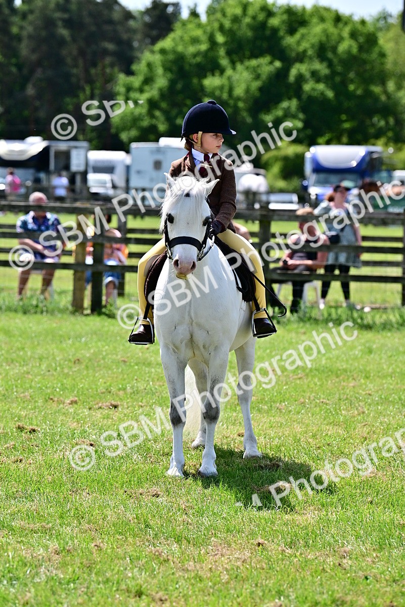 SBM_06044 - Class 59-60 - TSR M&M  Lear Rein and First Ridden Amateur of the year