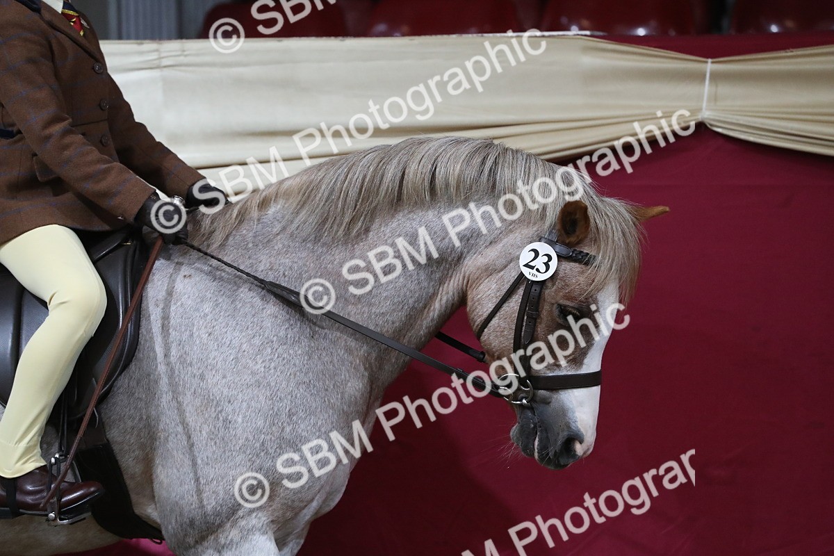 SBM_09230 - Class 101 Equitation (best rider), Junior
