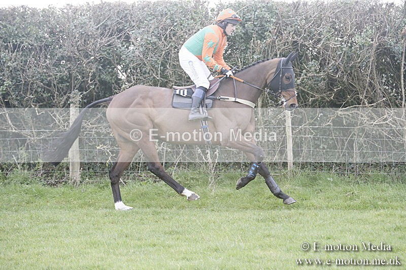 PtP 040218 115 - Point-to-Point Milborne St Andrew 04/02/18