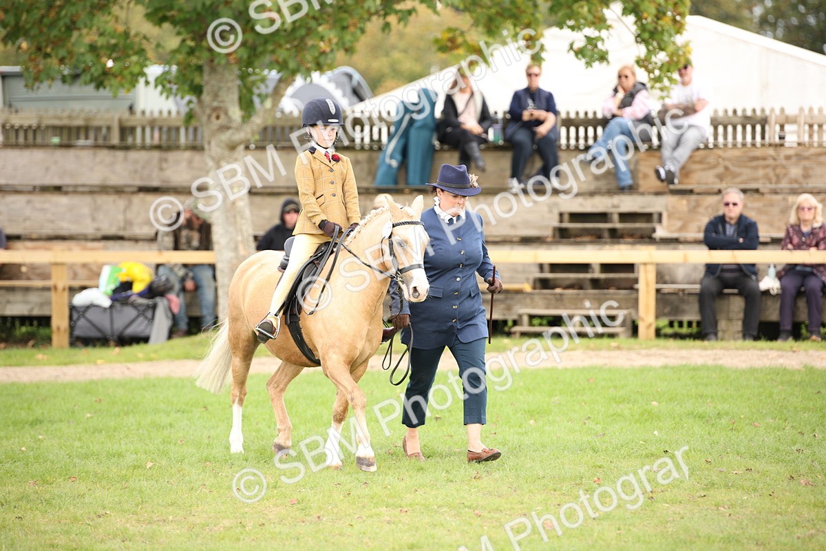 SBM_50014 - S26 - Young Veteran - Ridden