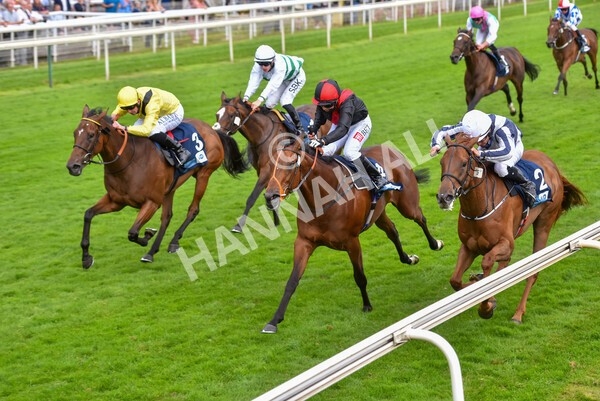 yr23072021r4-30 - Race 4 7.30pm British Stallion Studs EBF Lyric Fillies' Stakes