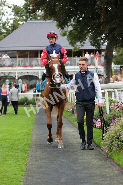 yr04092022r5-47 - Race 5 4.05pm Little Green Rascals Children's Nurseries Stakes
