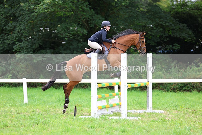 3E7A7132 - Class 5: Senior British Novice/90cm open