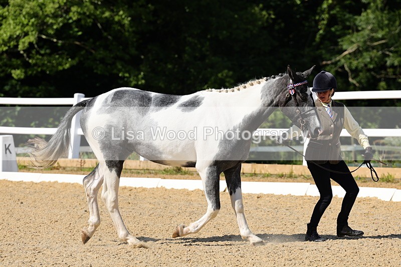1X9A0756 - Class 4: Youngstock 1, 2, 3 year old to exceed 153cm