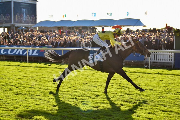 yr08102022r6-42 - Race 6 4.25pm The Watch Racing Online Free With Coral Handicap Stakes