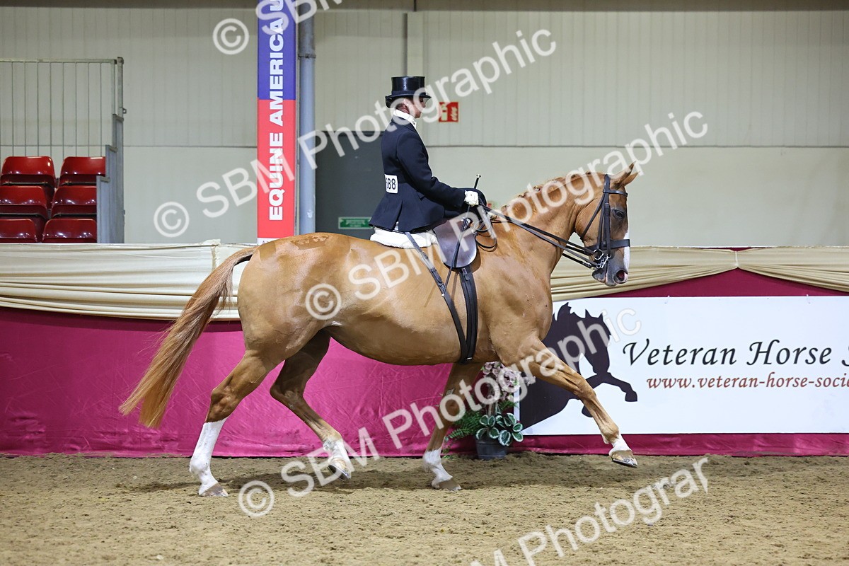 0B8A4226 - Class L Side Saddle Champ