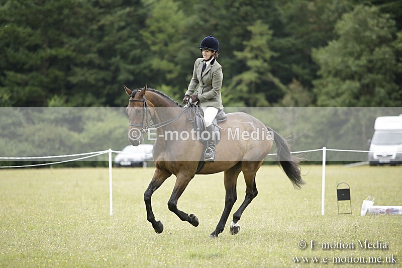 BVR160717-833 - Ring 1 BVRC Show 16/07/17