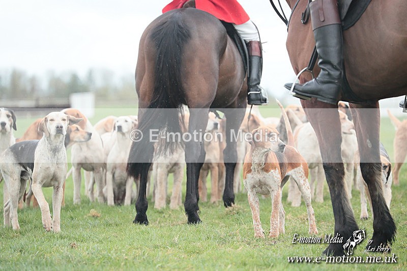 PtP 230324 29 - Tedworth Hunt PtP Larkhill Raccourse 23rd March 2024