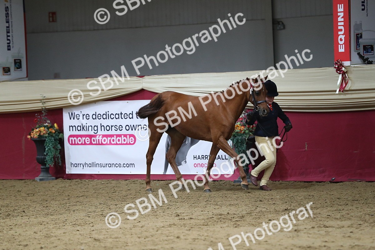 SBM_06381 - Class 9R Regional- IH Pre Vet