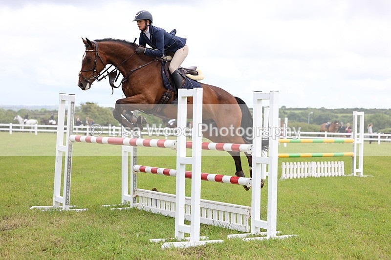 3E7A7134 - Class 12: Senior Foxhunter/1.20 open