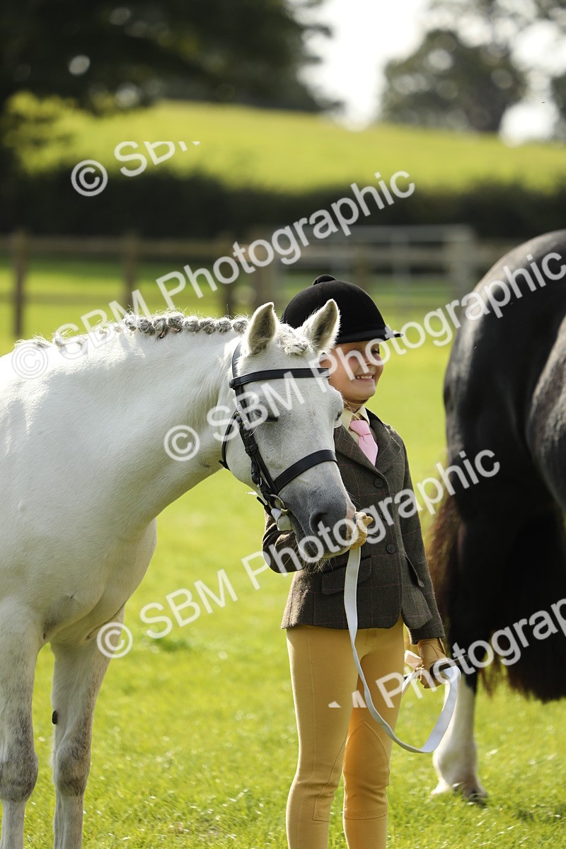 SBM_68571 - S40 - Junior Handler 9-12 Years