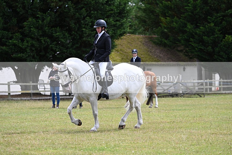 WJ7_9417 - Class 8 Ridden Veterans