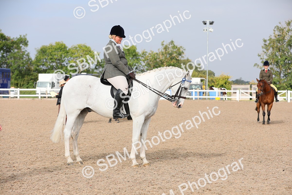 SBM_10888 - Class 304 Ridden Part Bred Horse/Pony