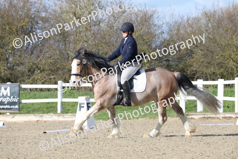 20260314-5010 - CT6 - Elementary 1