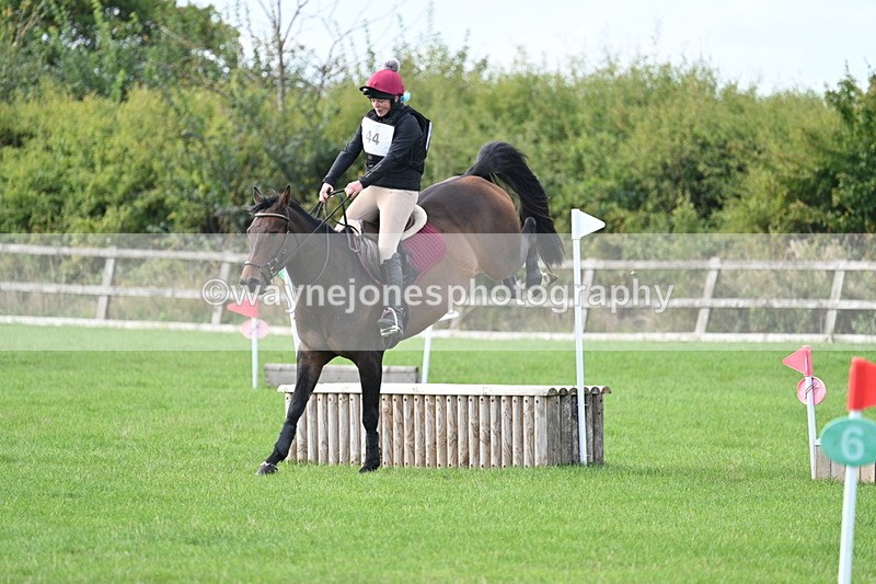 WJ7_8355 - 60cm Pairs