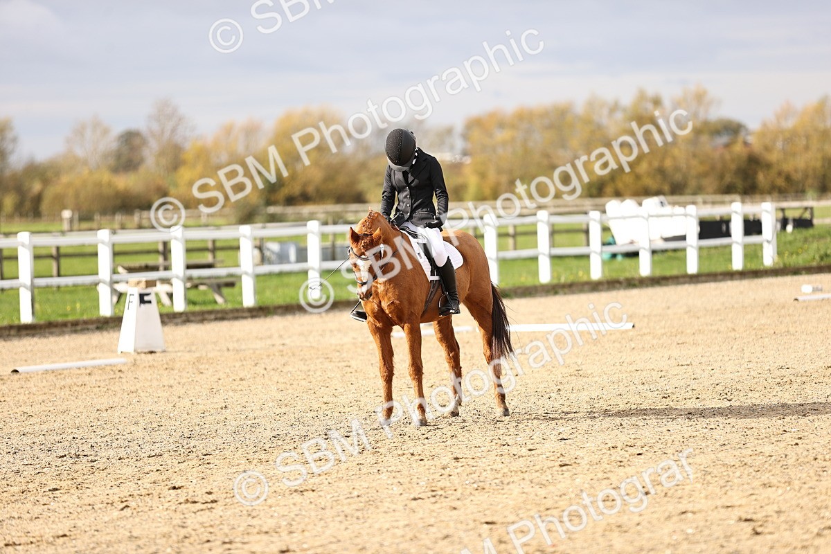 SBM_001334 - Class 2-4 - Intro 1 Intro 3