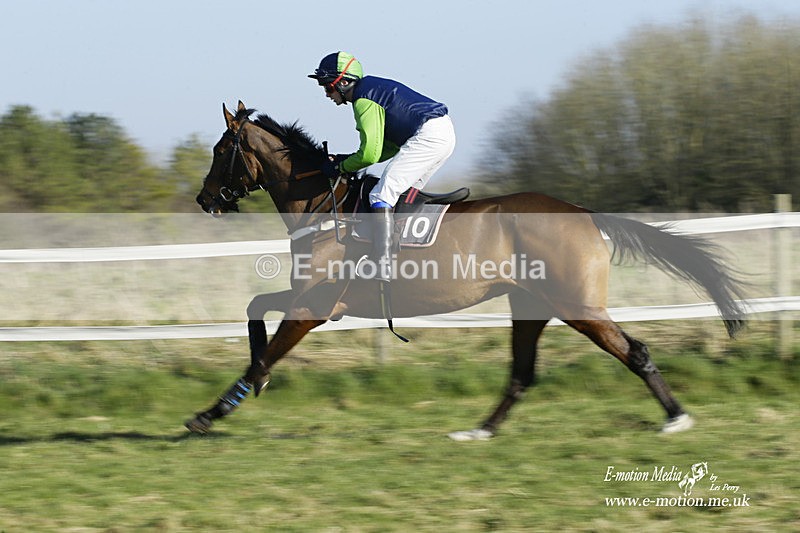 PtP 270222 159 - South & West Wilts Point-to-Point Larkhill 27/02/22