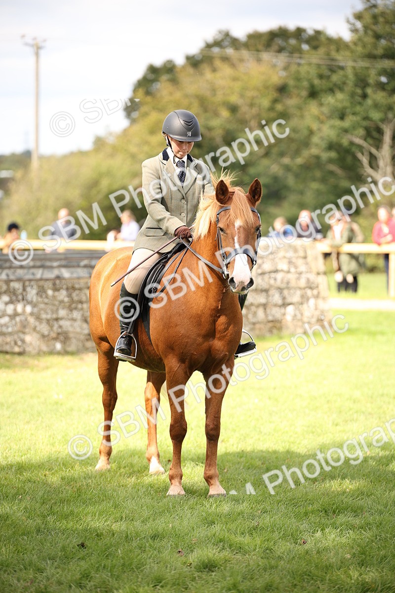 SBM_42383 - S13 - Pony Club Pony