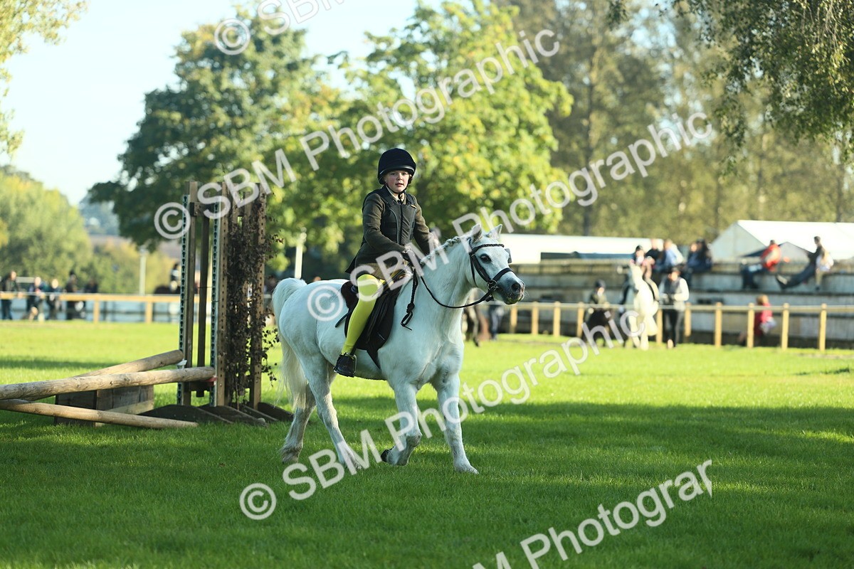 SBM_36294 - S29 - Novice & Newcomers Working Hunter Pony