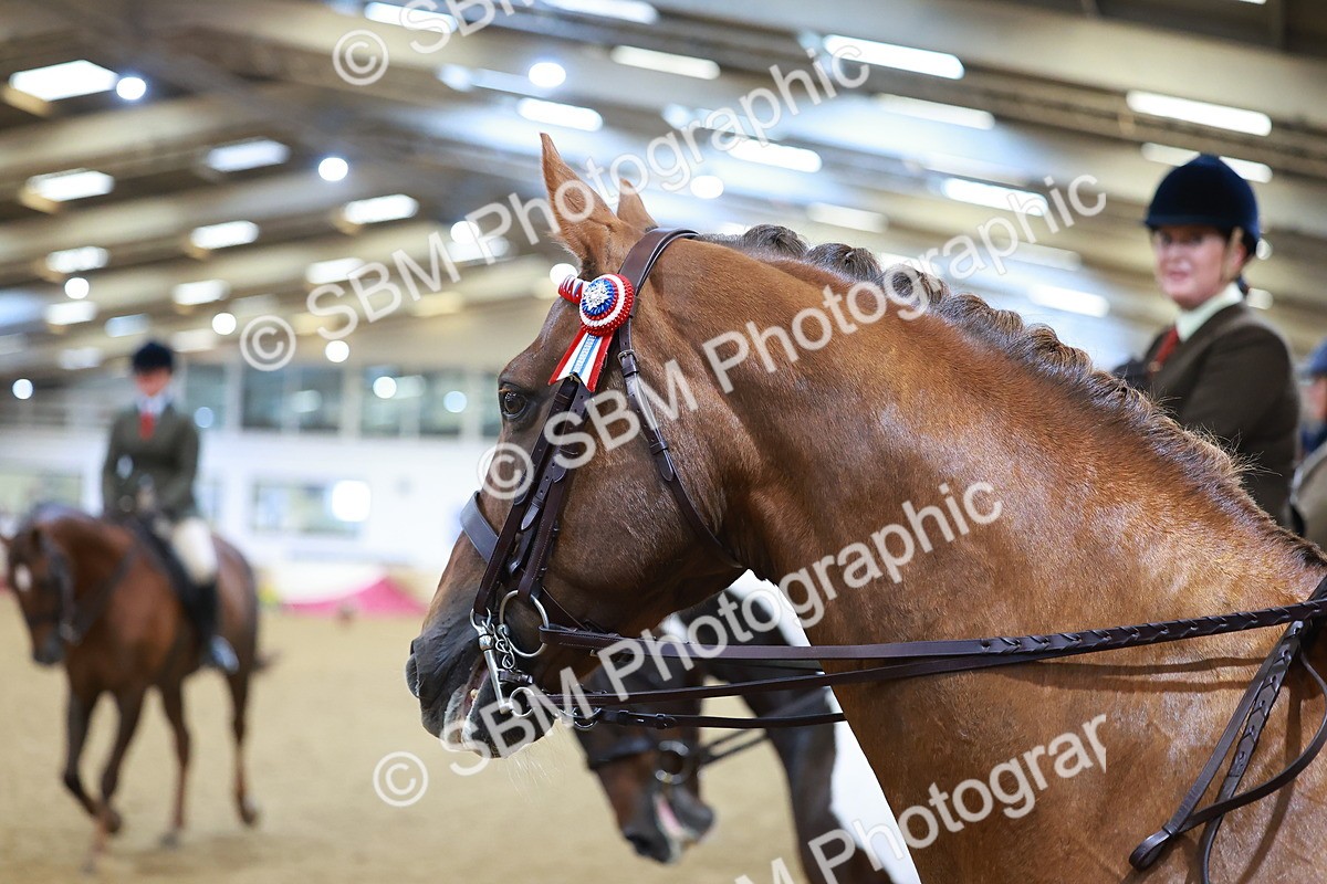 SBM_09669 - Class 102 - HOYS Veteran Qualifier - Ridden Veteran