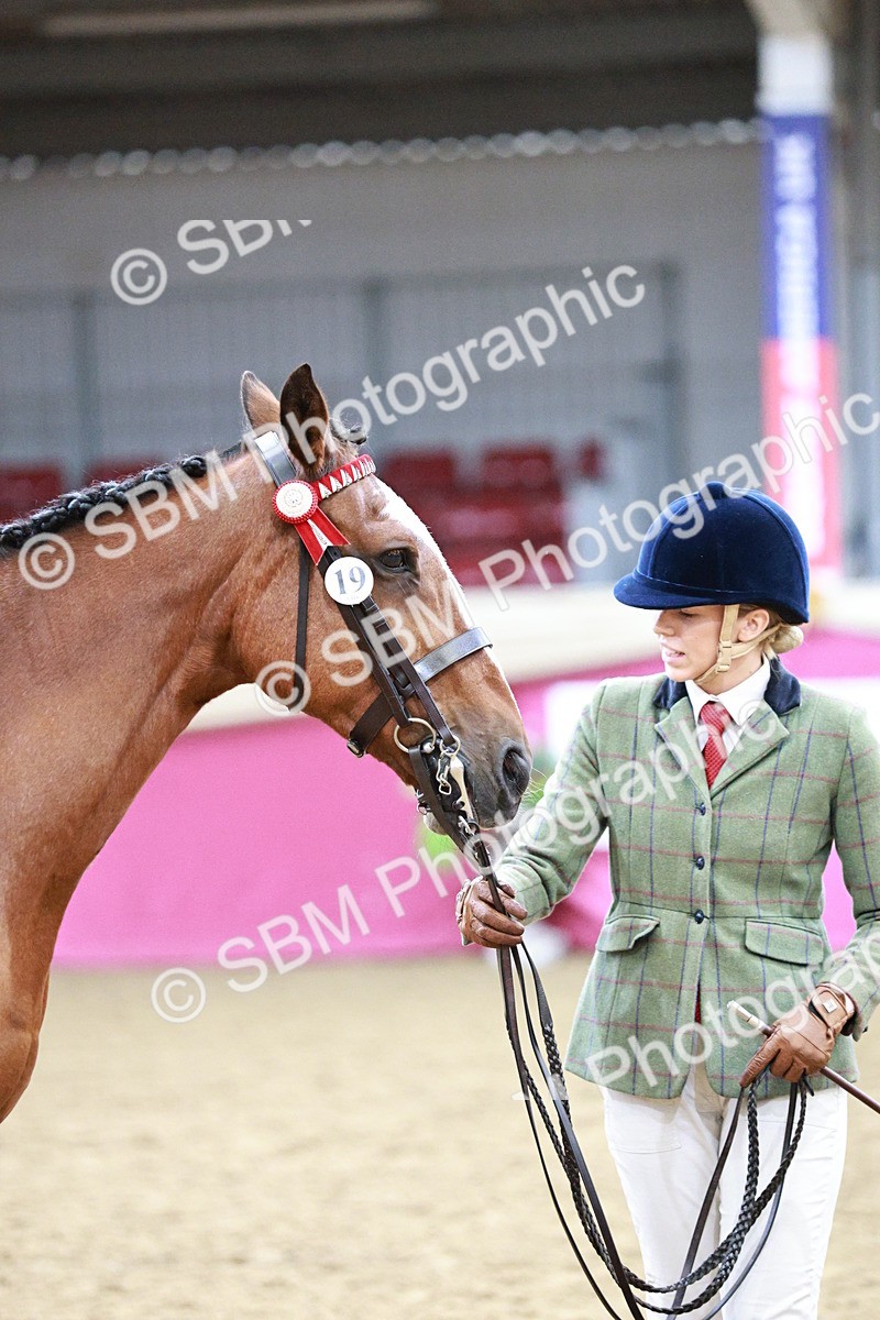 SBM_01195 - Class 3A - Area IH Pre-Vet