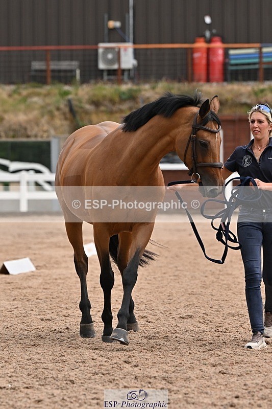 250716-145222-01463 - Trot Up 2.30 to 3.30