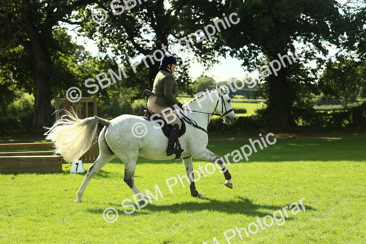 SBM_48066 - S32 - Novice & Newcomers Working Hunter