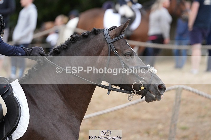 250820A-095802-02199 - Round 2, 9.45 to 10.45 Break