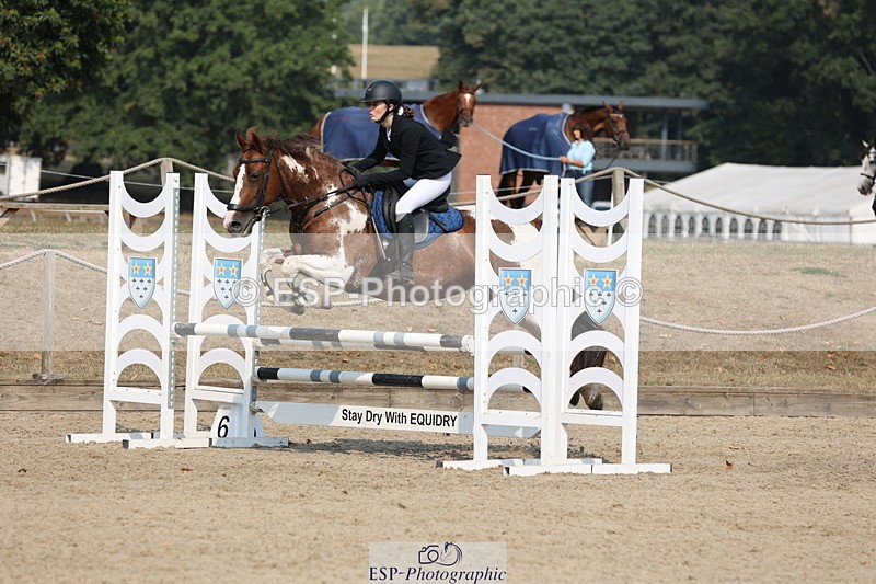 250816A-102330-00687 - Cls 3 Snr British Novice