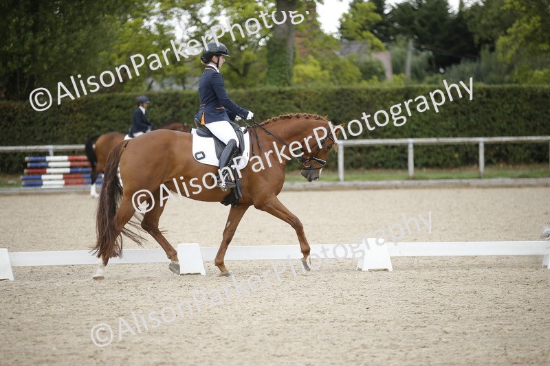 20260913-0375 - Class 3 - Novice 5