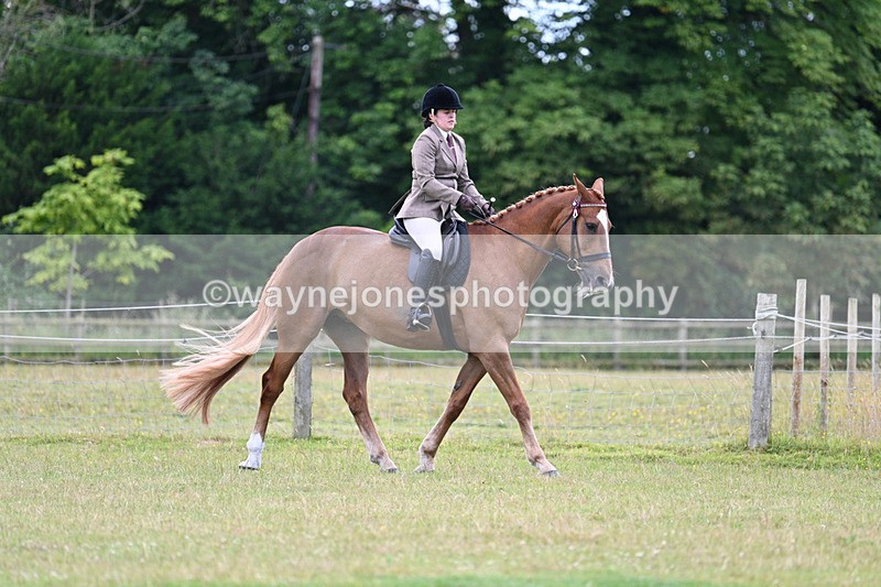 WJ7_9007 - Class 8 Ridden Veterans