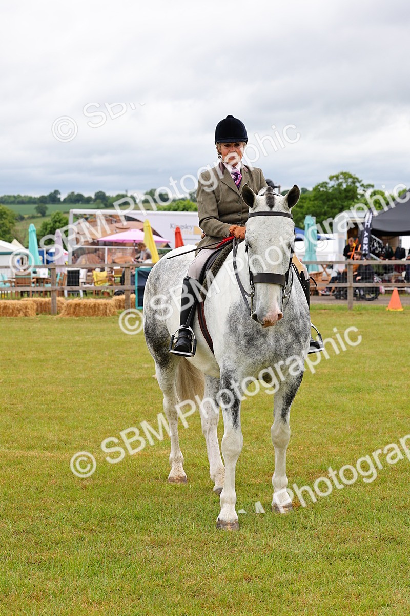 SBM_02662 - Class 9-11 Side Saddle including LIHS Rising Star Ladies Show Horse