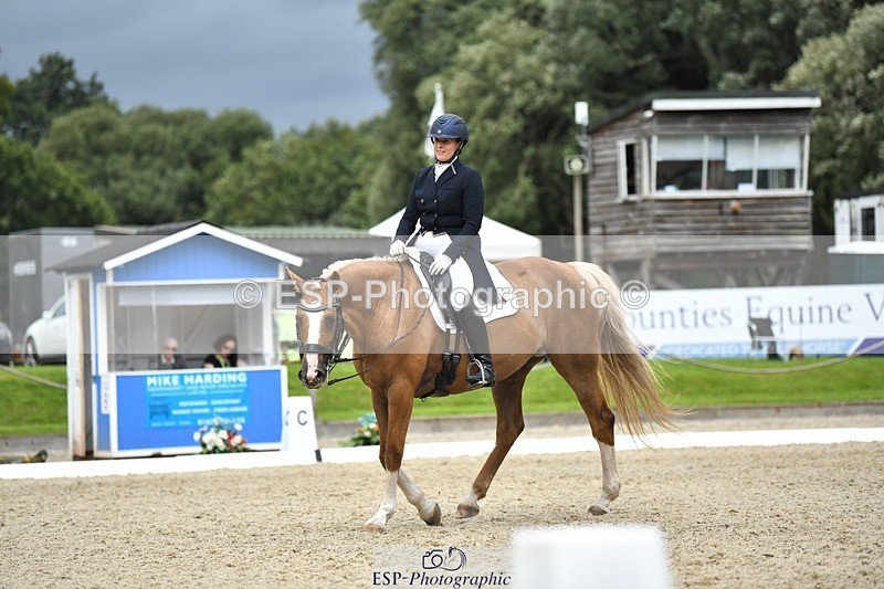 230812-144519-04795 - Cls 7 FEI PSG Bronze