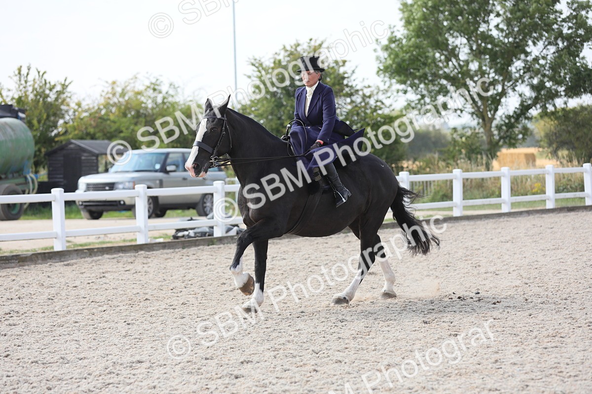 SBM_14555 - Class 211 Best Side Saddle Horse/Pony