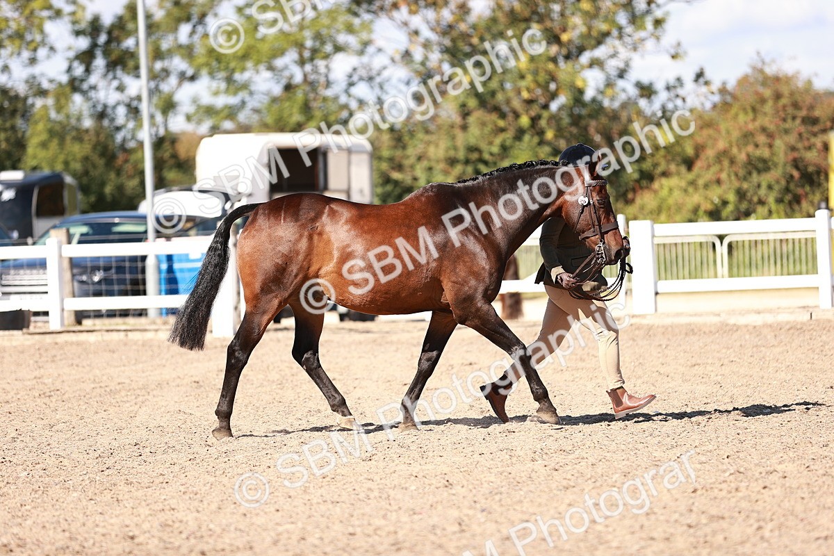 SBM_13286 - class 406 - IH Hunter
