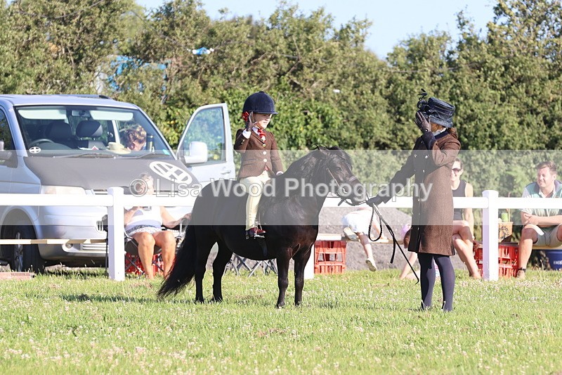 JPP_0856 - Class 16: Cornish Combination Leading Rein