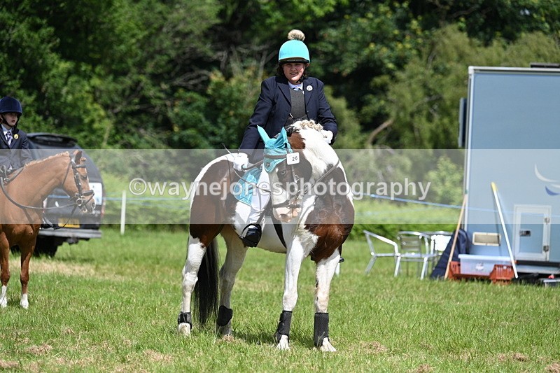 WJ7_1860 - Class 9 Pony Club Pony