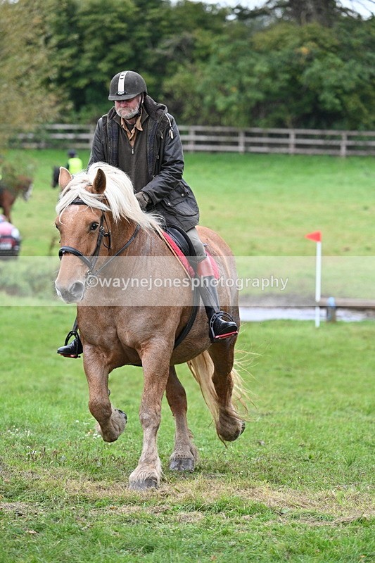 WJ7_2365 - Time at Photographer 13:27 to 14:14