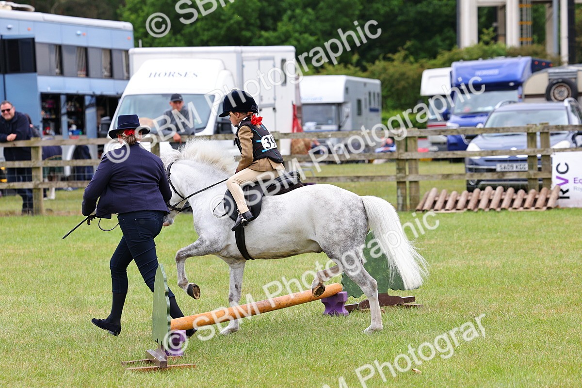 SBM_08134 - Class 42-43 - LIHS BSPS Heritage Working Sports Pony
