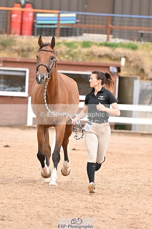 250716-154258-02147 - Trot Up 3.30 to 4.30