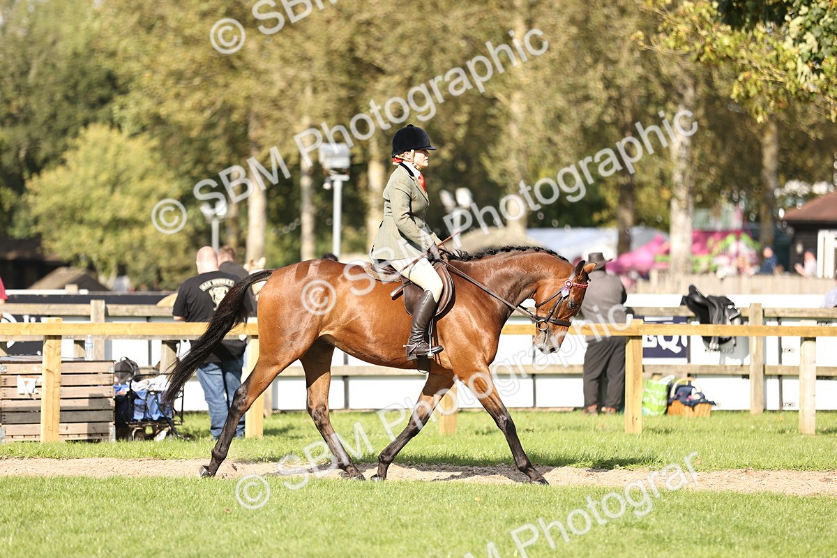 SBM_26338 - S6 - Novice & Newcomers Ridden Horse