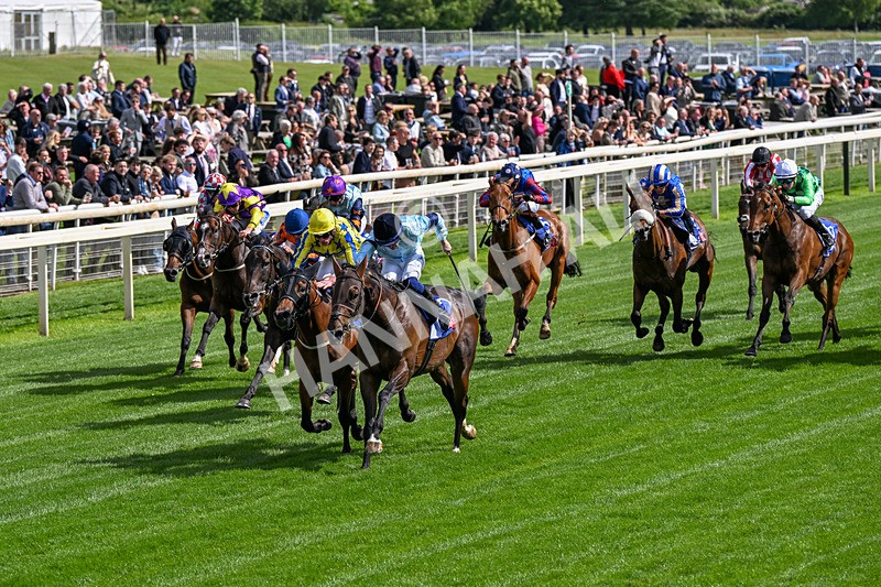 120626-Race 5-Antipodes-0281 - Race 5 16.10pm Sky Bet The World's Gone Football Handicap