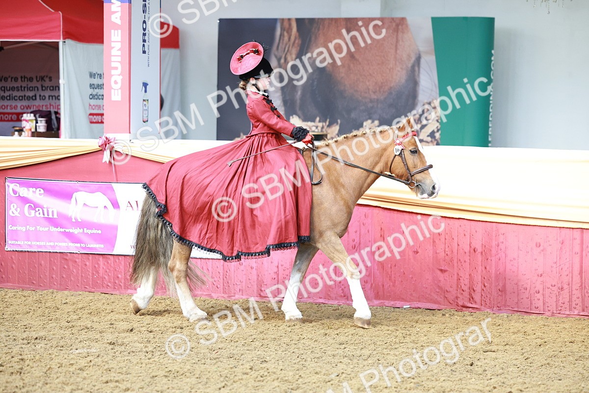 SBM_13399 - Class 104 - Ridden Costume - Astride Junior